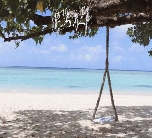 Ebola (JAP) : Island Afternoon